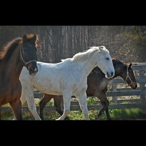 Meet your Posher, Jillian